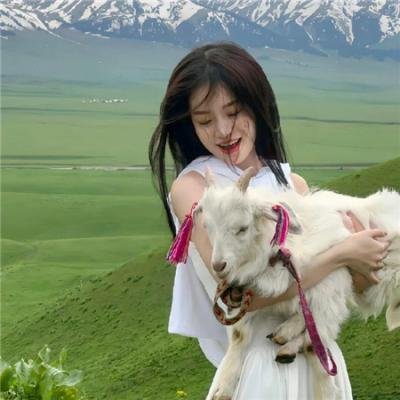 娇软美人又宠又撩